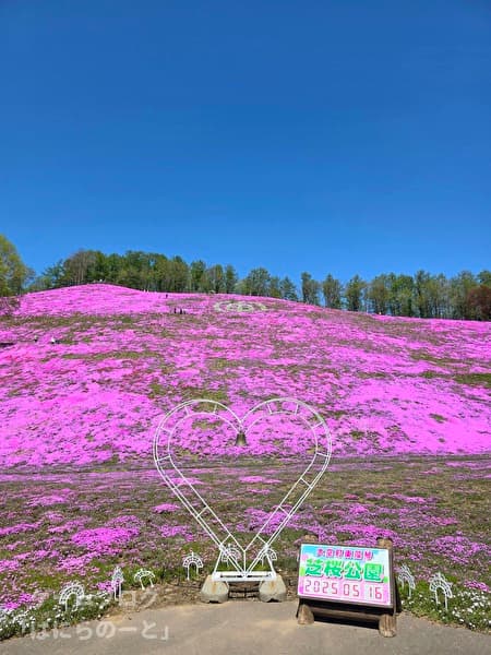 【ひがしもこと芝桜公園】その5
