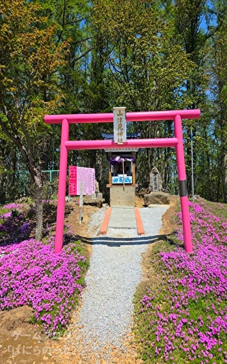 【ひがしもこと芝桜公園】その6