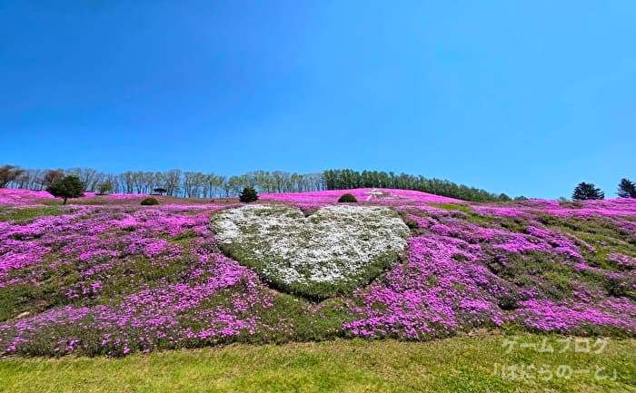 【ひがしもこと芝桜公園】その7