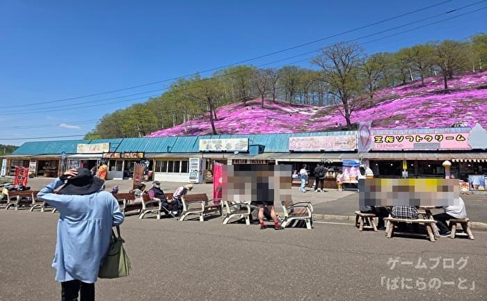 【ひがしもこと芝桜公園】その9