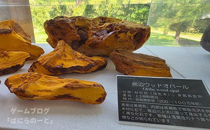 【ひがし大雪自然館】居辺ウッドオパール